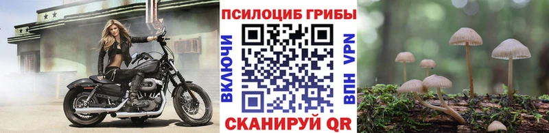 Галлюциногенные грибы прущие грибы  Купить  Подольск 